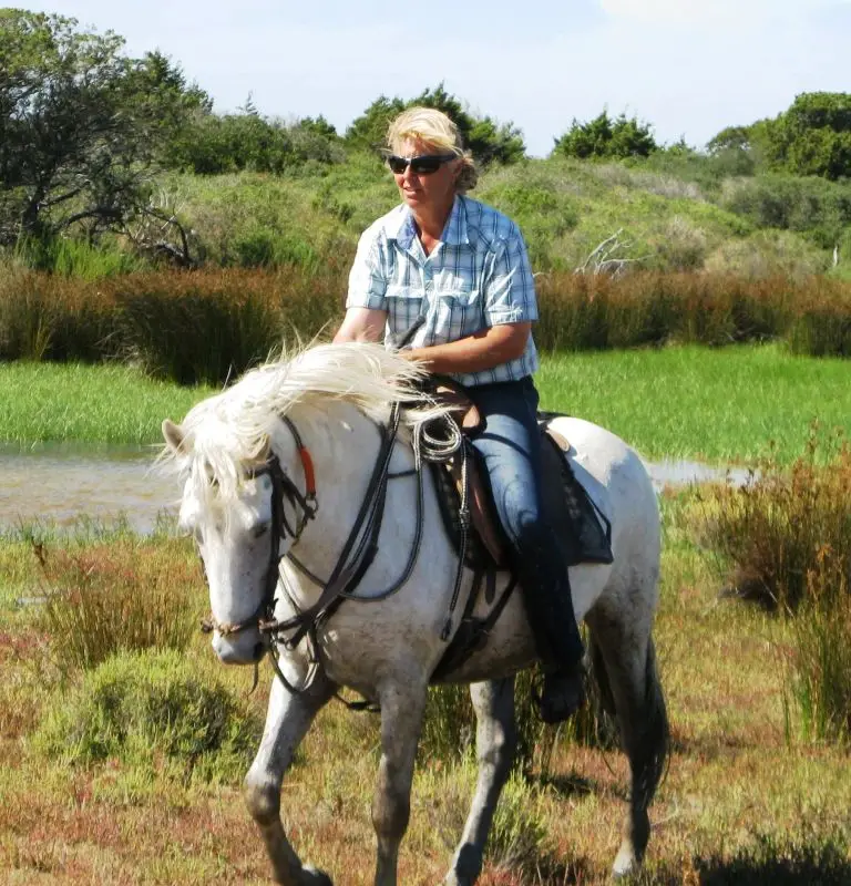 Promenade à cheval