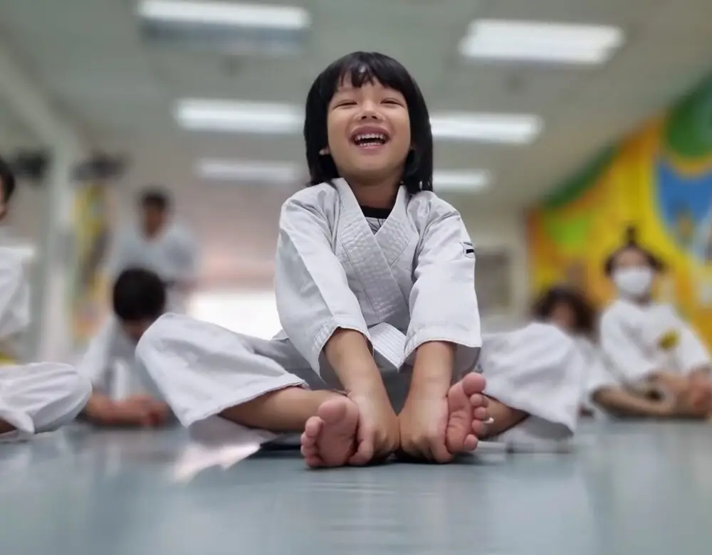 The Karate Academy
