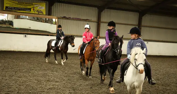 Lake Farm Equestrian Centre