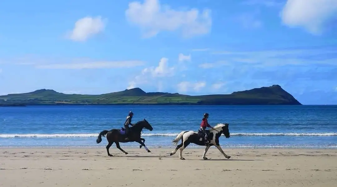 SEA VIEW EQUESTRIAN