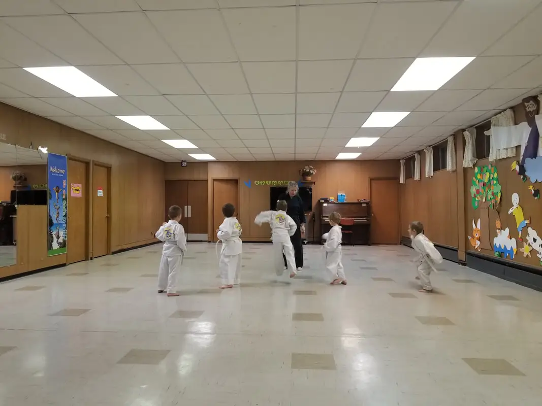 Vilcu's Martial Arts