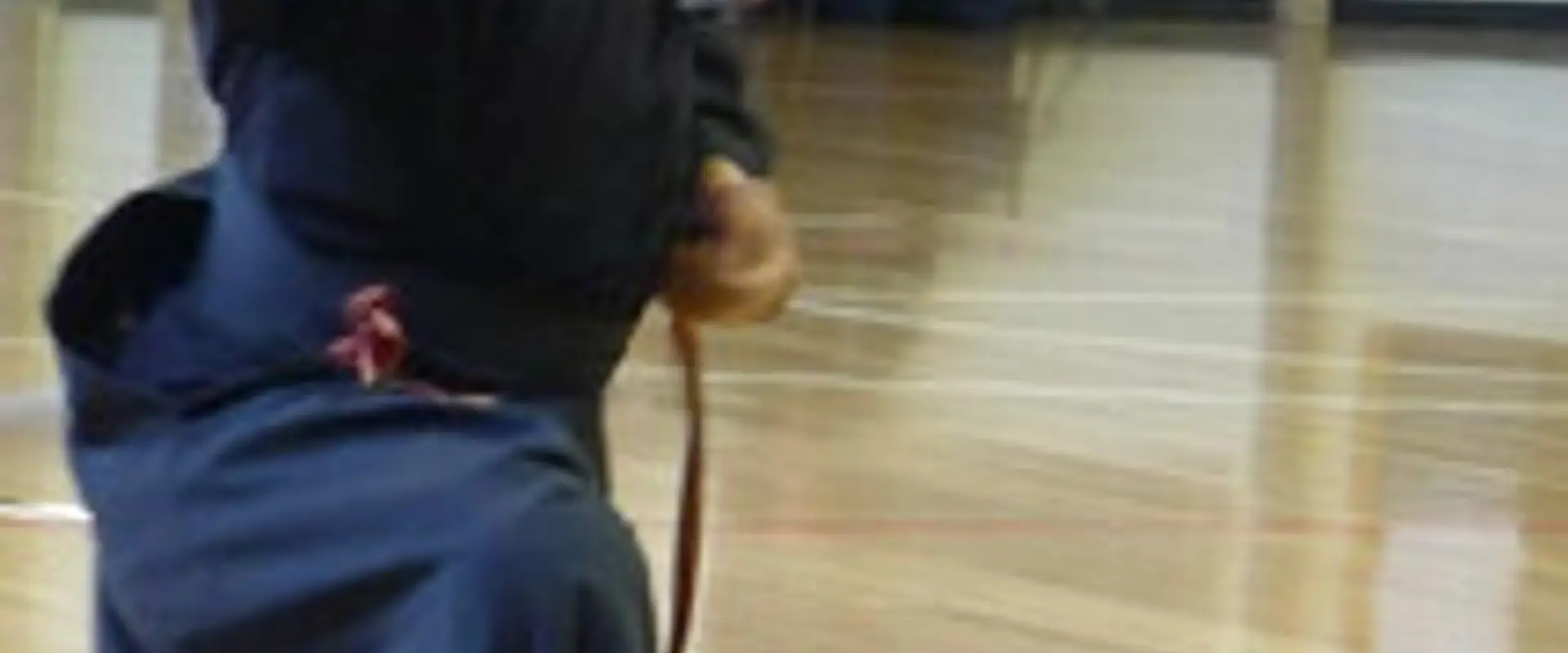 Shinbukai Dojo