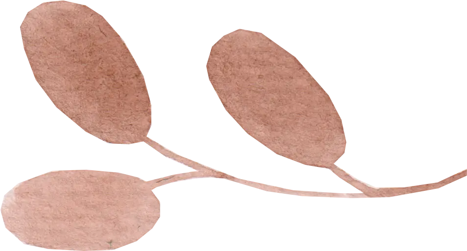 Naturopath Reflexologist - Mathilde Lagesse