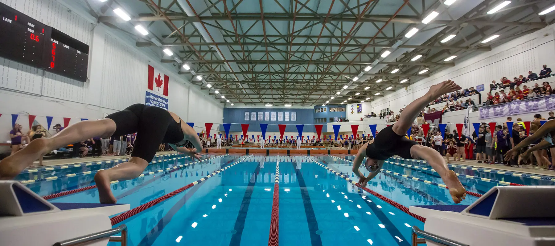Brock Niagara Aquatics - competitive swim team