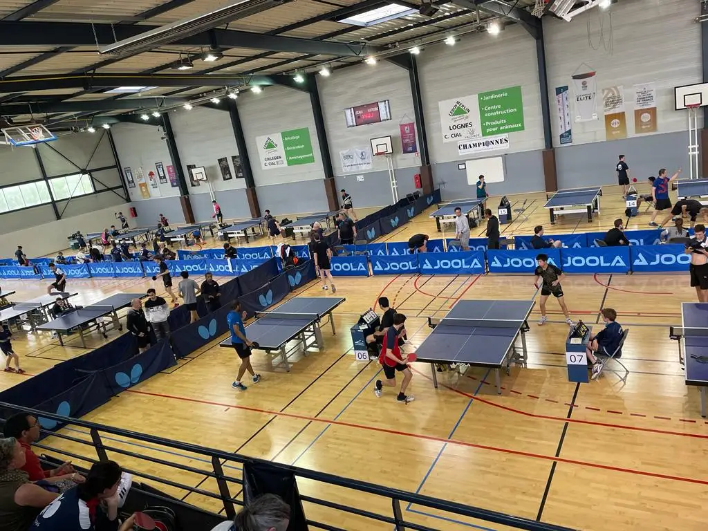 Tennis De Table Lognes