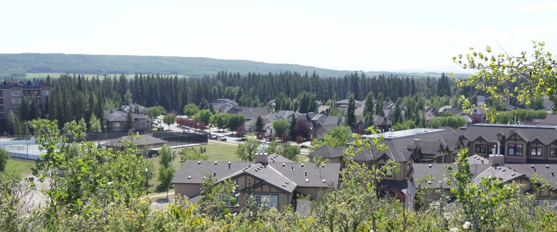 Discovery Ridge Skating Rink