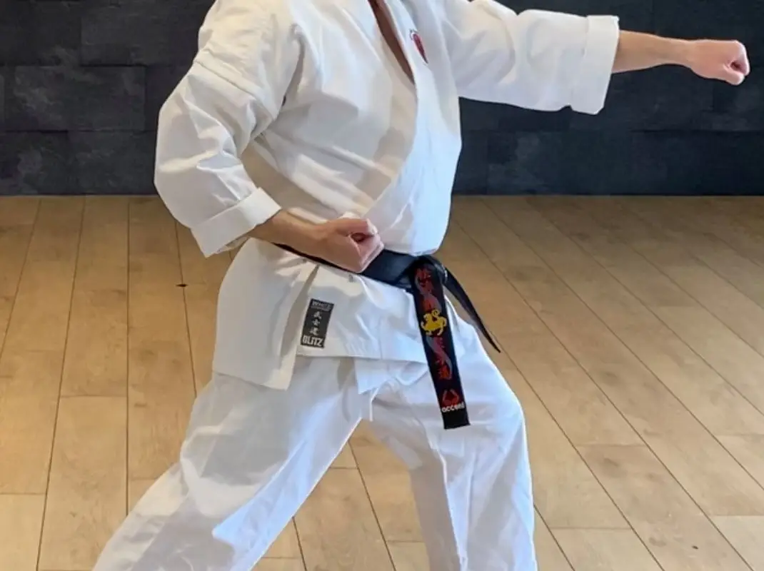 Kyo-Shin Martial Arts
