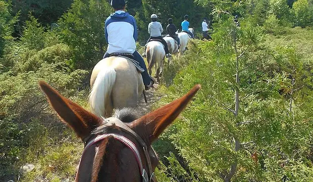 Kicking Mule Riding Stable & Cookhouse