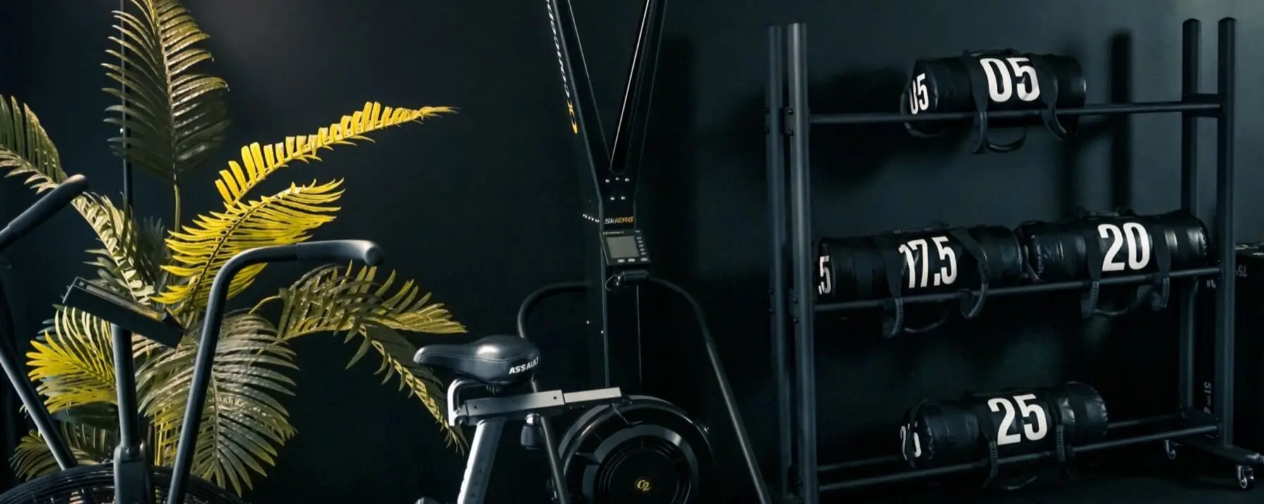 Solo Personal Training