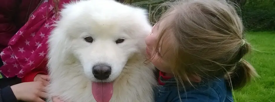 Armauny la Médiation par l'Animal