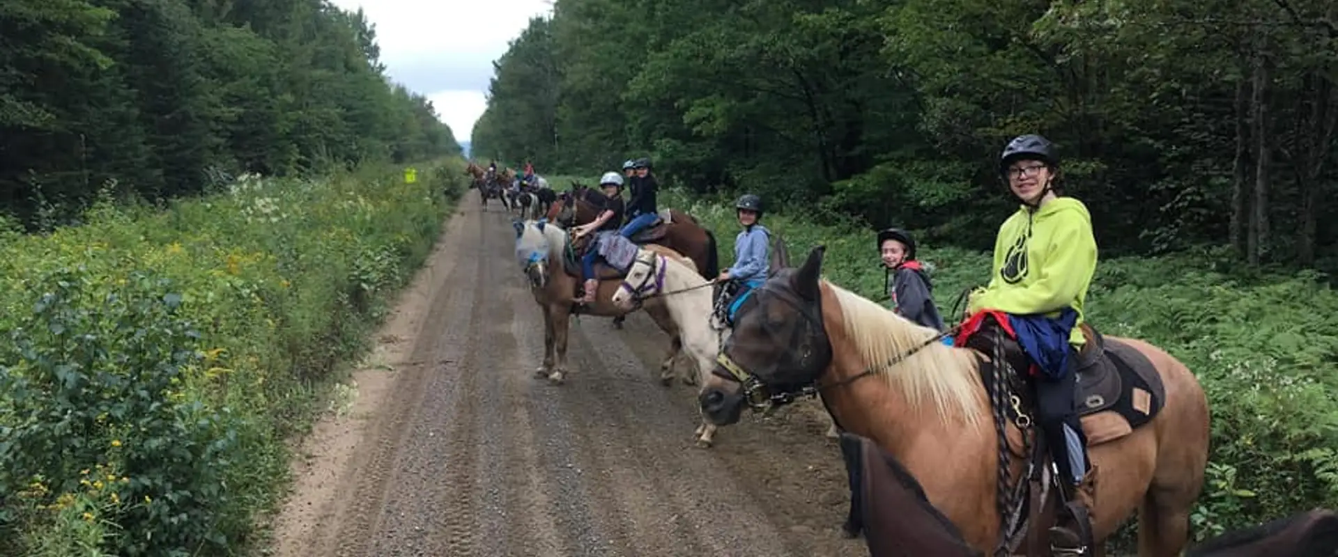 The Equi-AMI stables