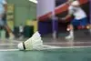 ASJ Badminton La Chaussée St Victor
