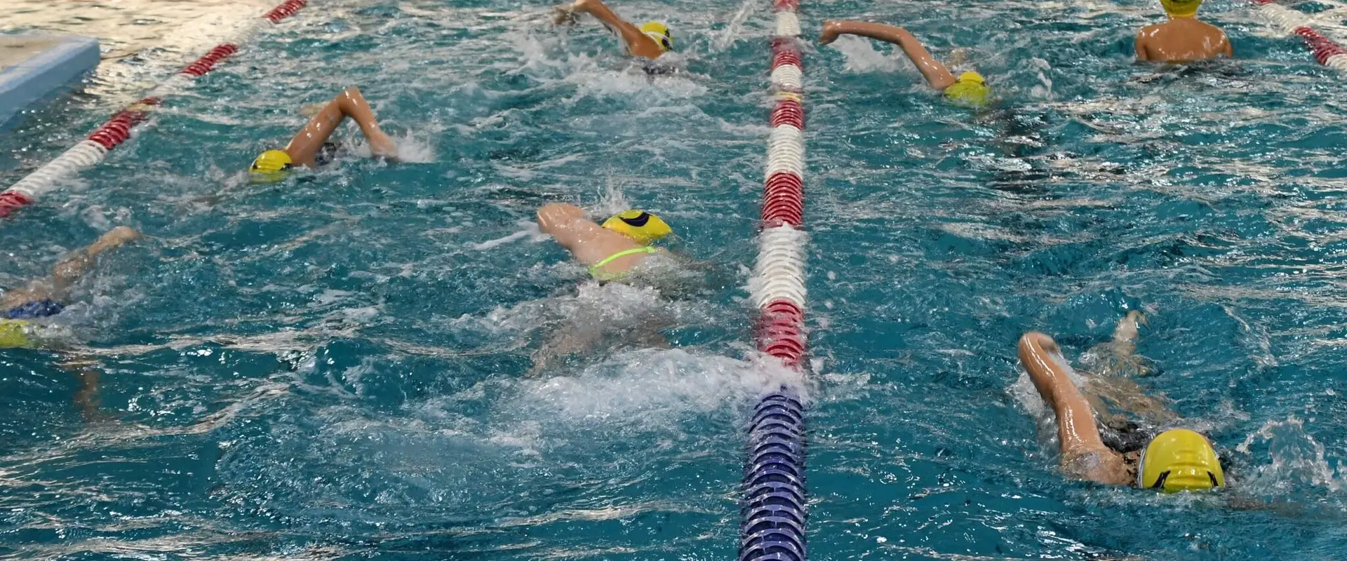 Dartmouth Crusaders Swim Club