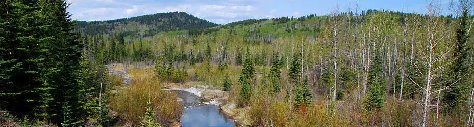 Big Lake