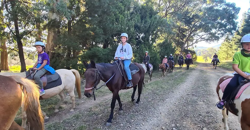 Argalong Trail Rides
