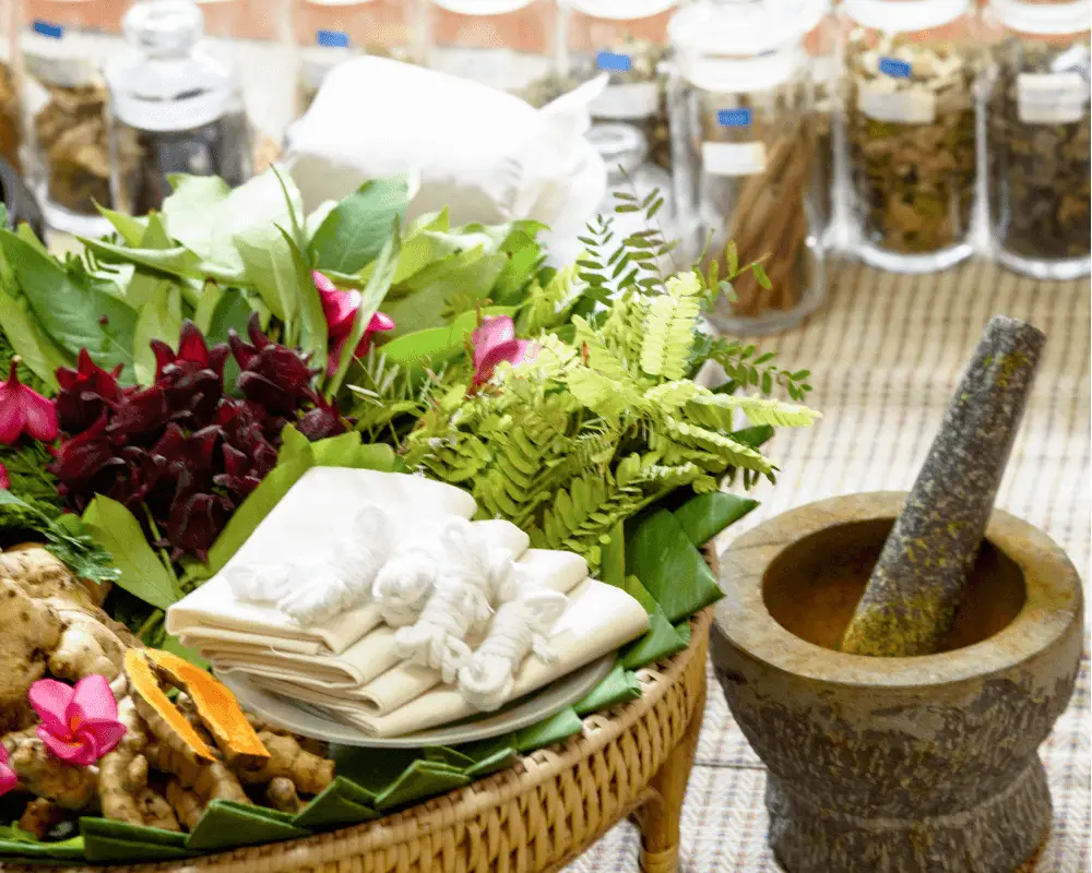 Sivapta Wellness Centre Noida’s Premier Ayurveda, Panchakarma, Yoga Studio And Naturopathy