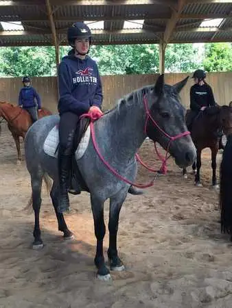 PONEY CLUB DE LA PIERRE BLEUE