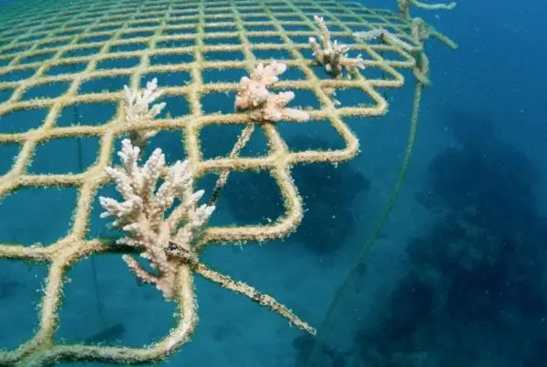 Passions of Paradise - Great Barrier Reef Tours Cairns