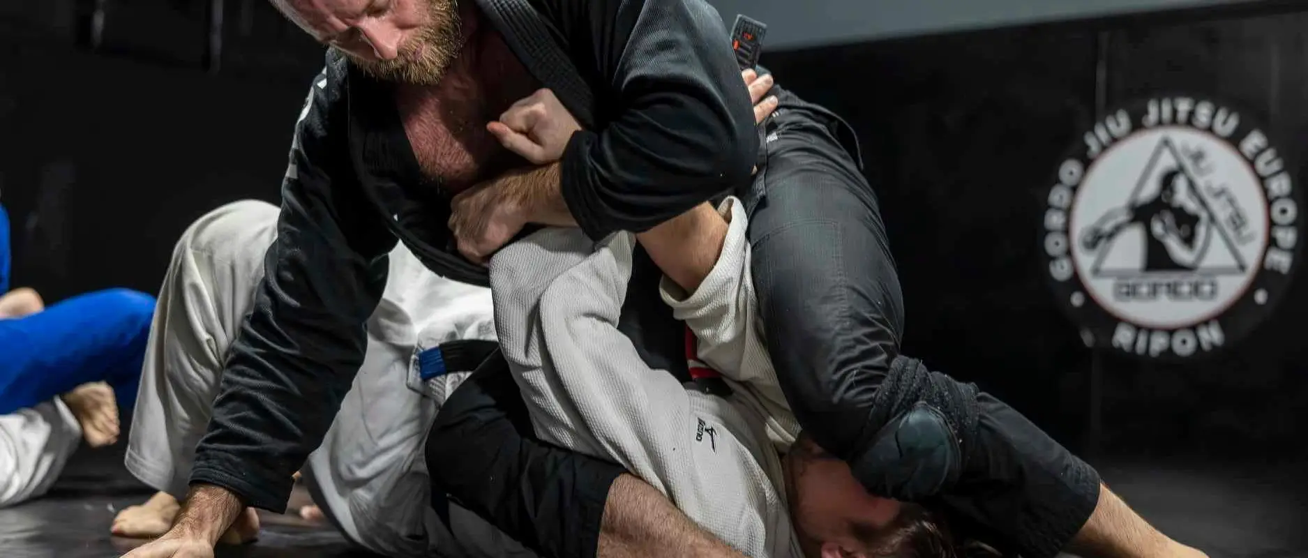GORDO JIU JITSU RIPON