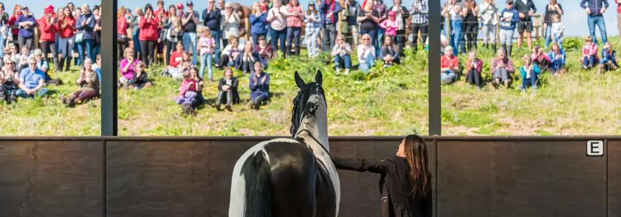 Cannock Chase Trekking Centre