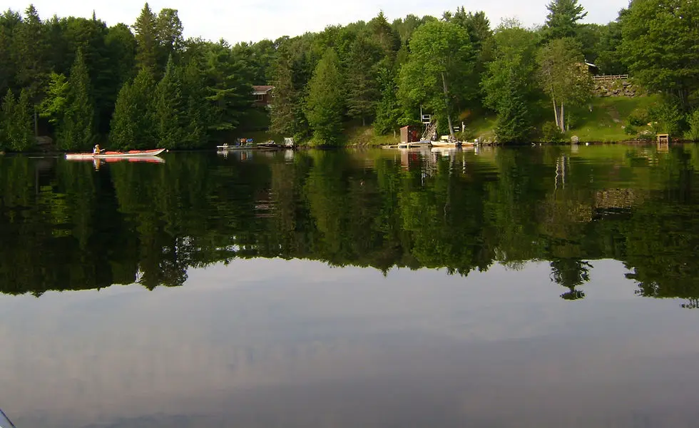 Eagle's Rest Cabin & Boat Rentals