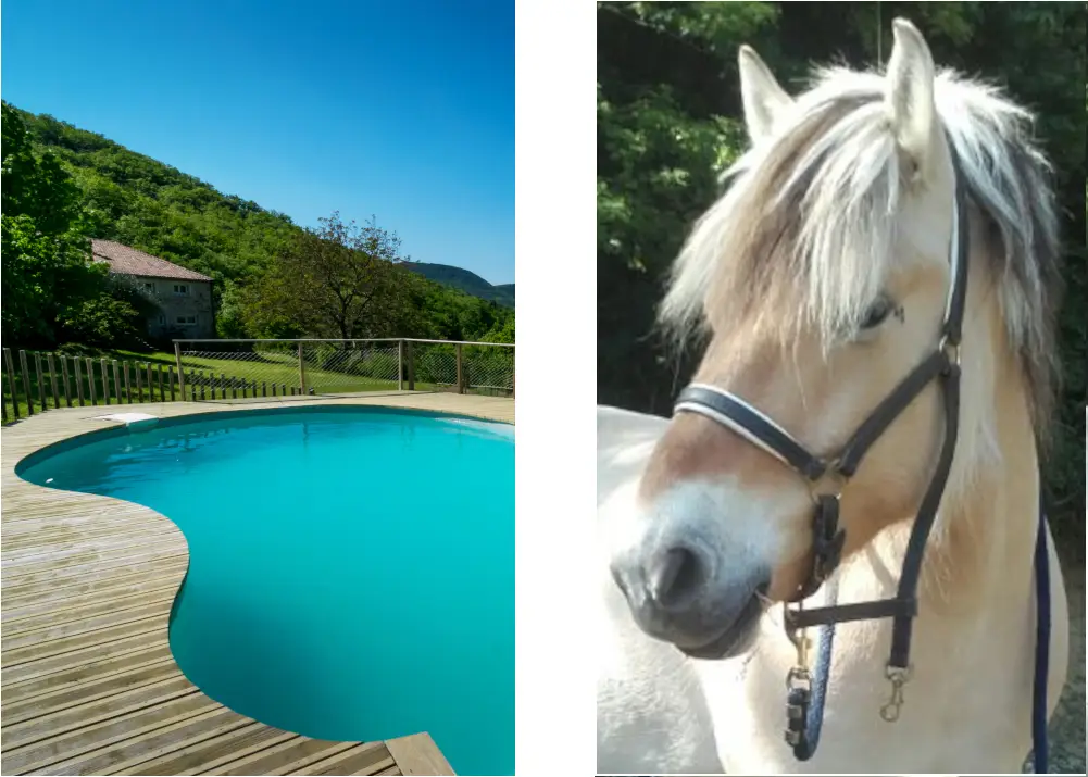 Laulagner : Gîte de caractère, chambre d'hôte, B and B, Vallée de l'Ibie, Vallon Pont d'Arc, Ardèche