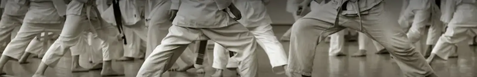 Singapore Karate-Do Federation