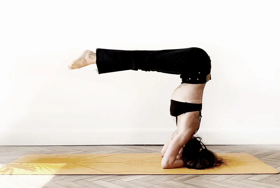 Terri Yoga