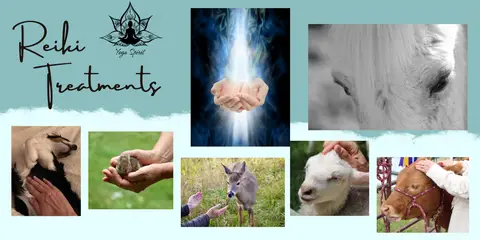 Yoga Spirit Inc.