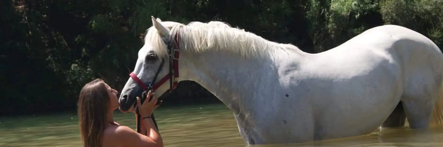 The Ponies Du Castellas