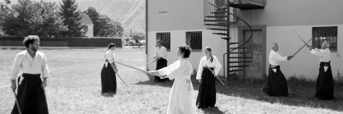 Academy Vifoise D'aikido