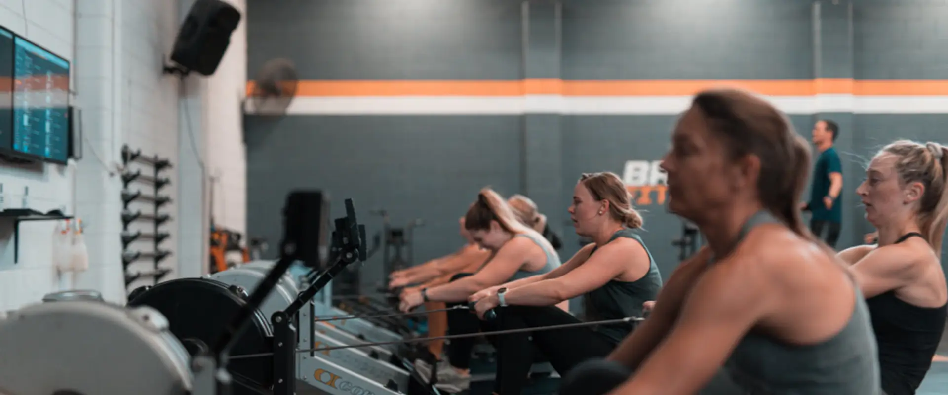 Brawn Fitness