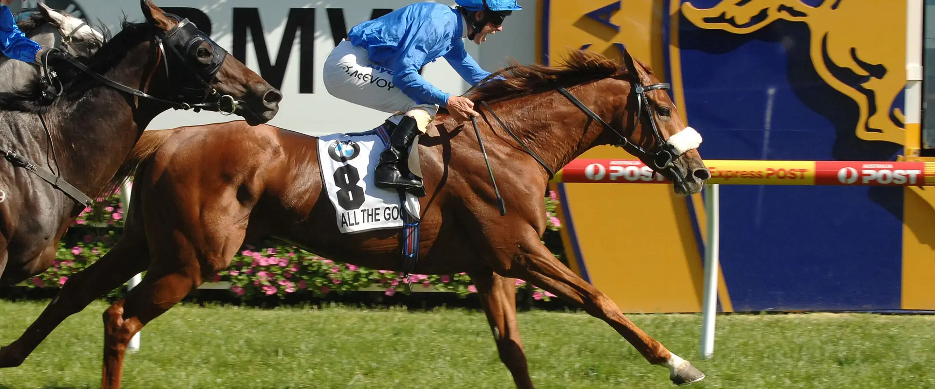 Lillingston Bloodstock
