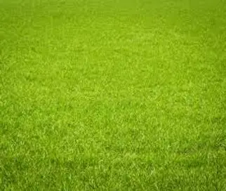 West Ealing Bowls & Social Club