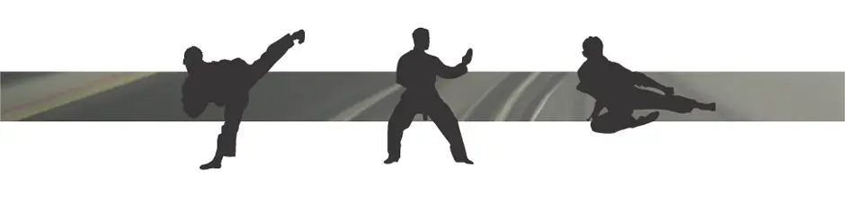 Ryouko Martial Arts Durham