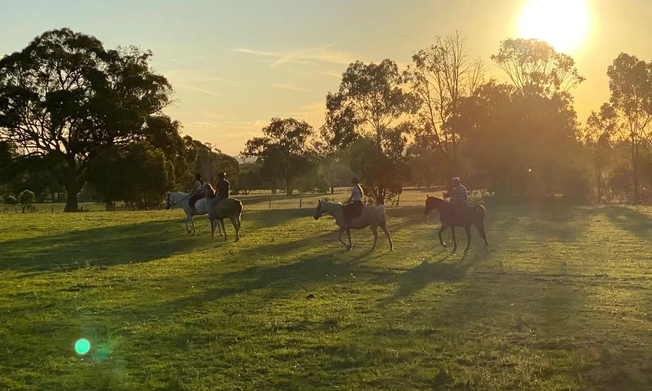Mudgee Horse Riding Centre