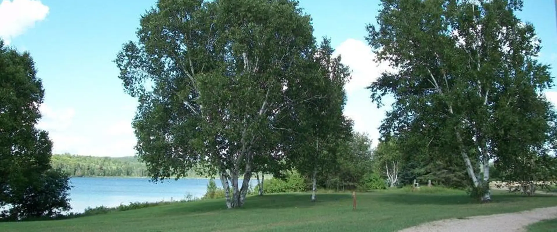 Tom Thomson Park
