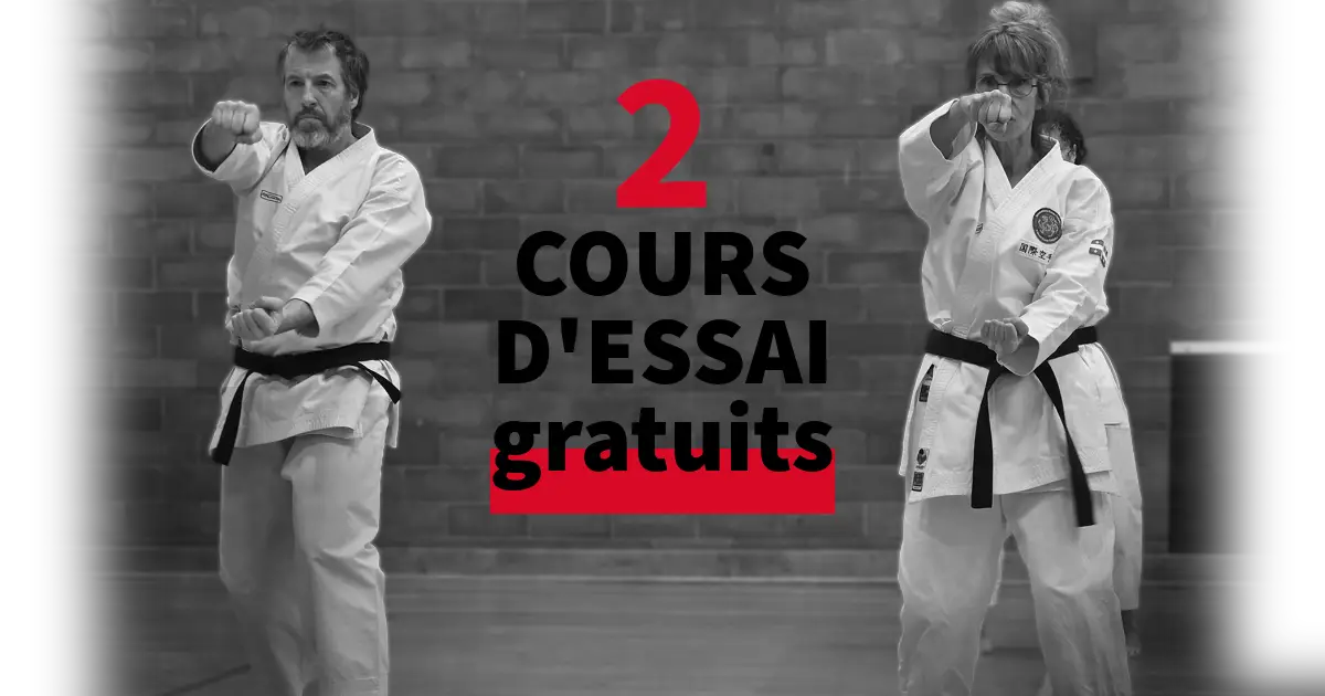 Karat Shotokan des Laurentides