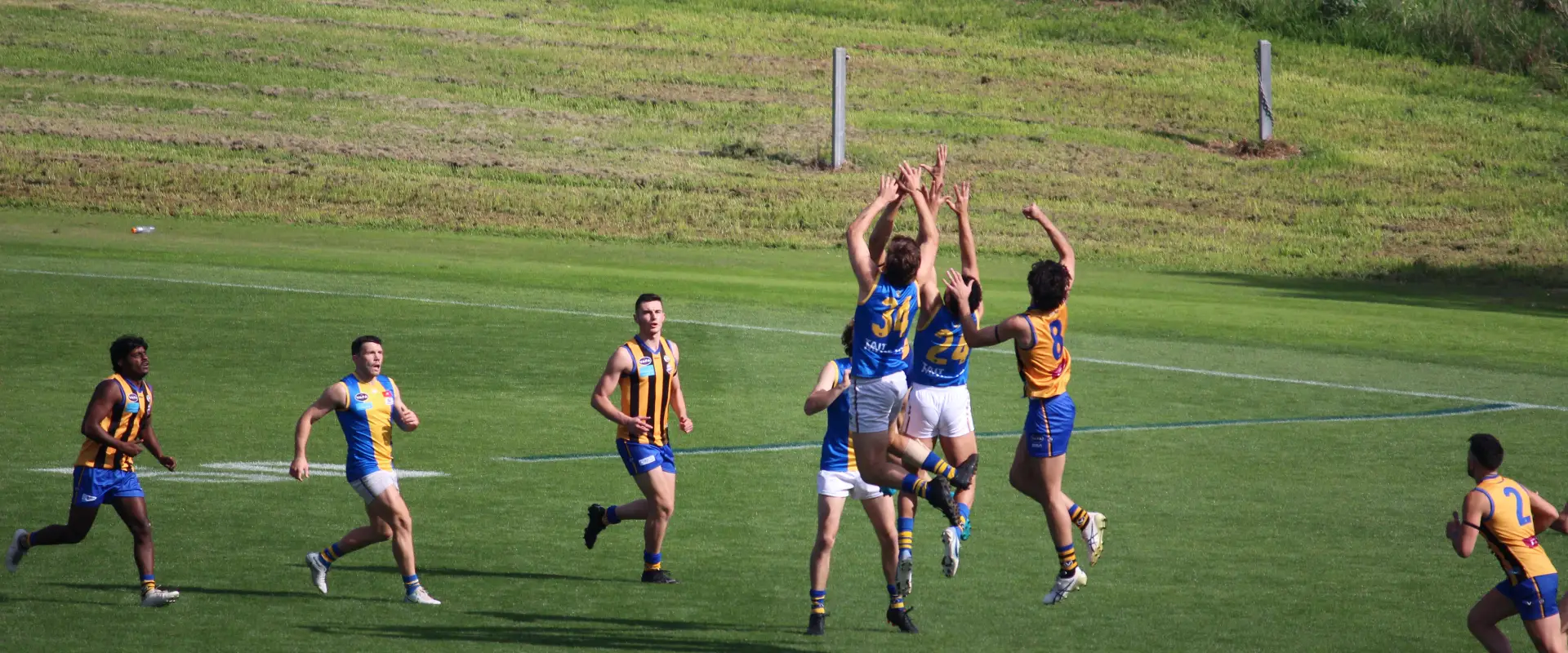 St Bernards Old Collegians Football Club