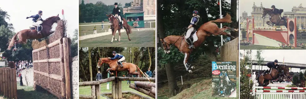 Tracy Brown Equestrian