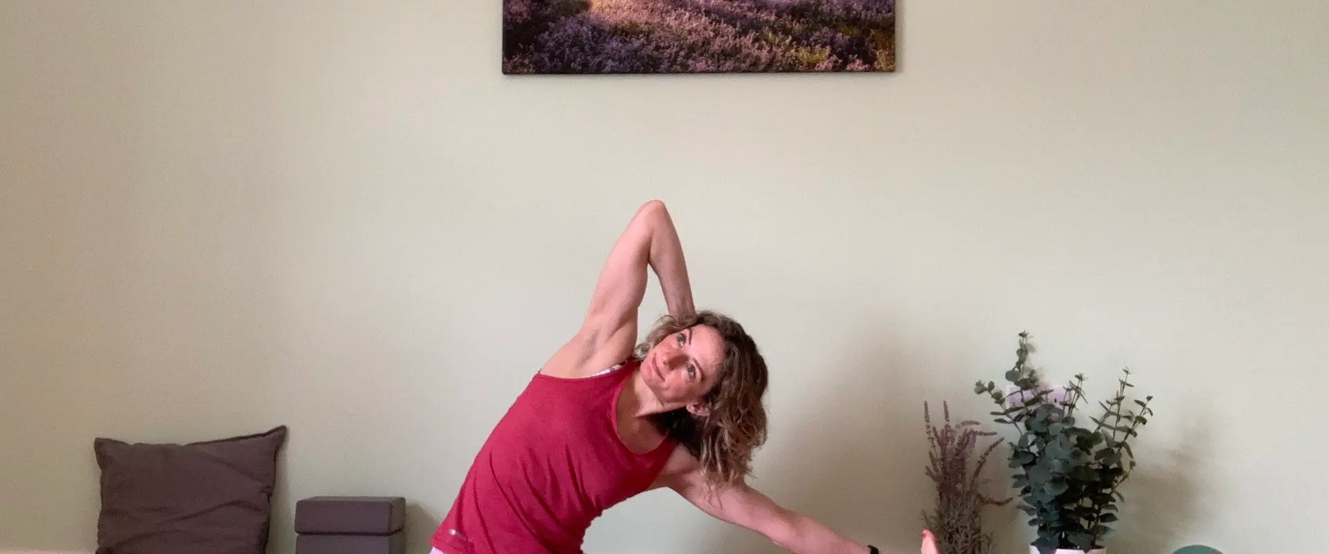TDR Academy of Movement and Therapy