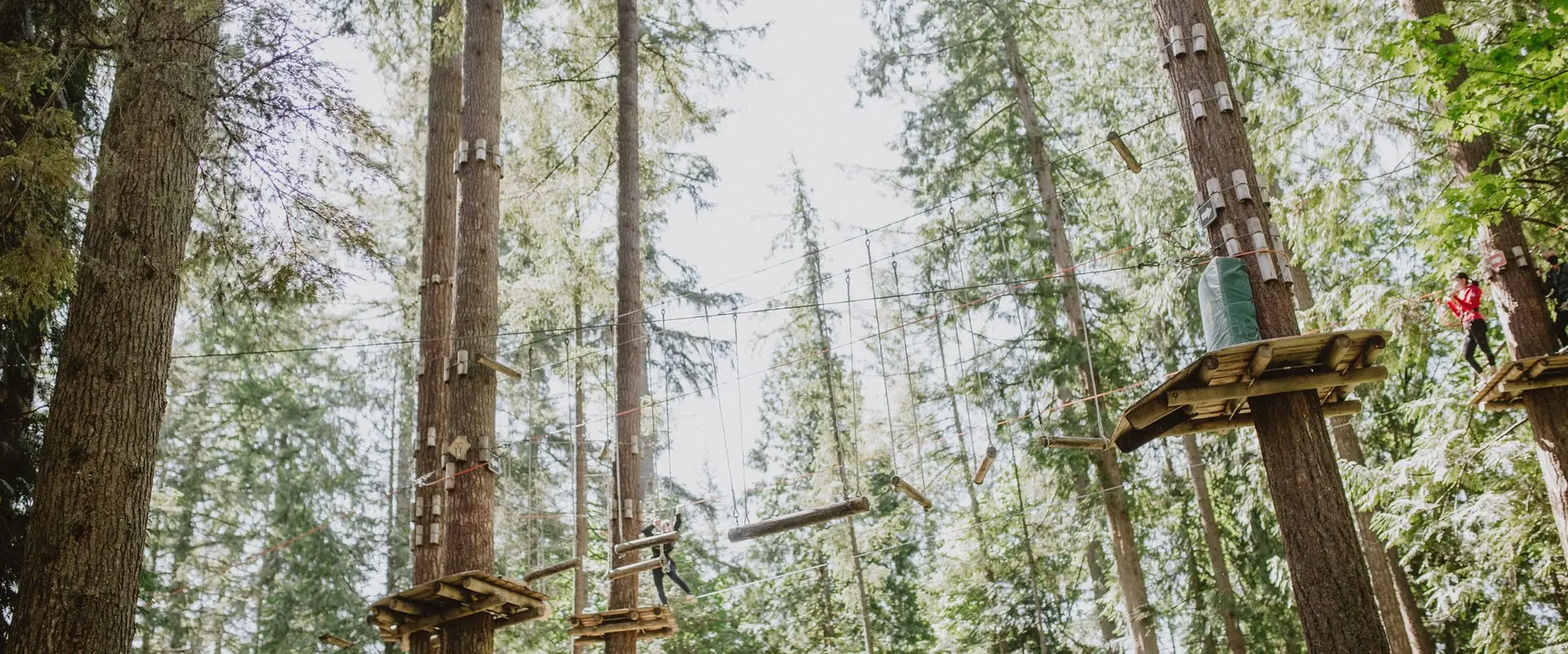 WildPlay Nanaimo