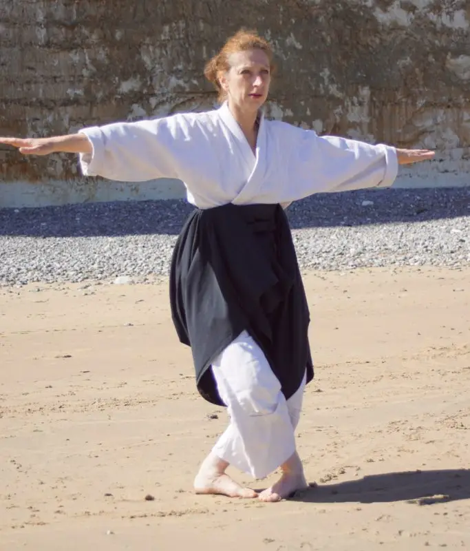 Academy Aikido Tray Is