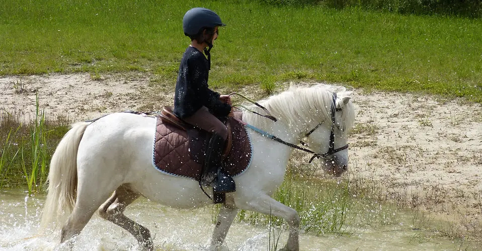 Equestrian Club De Brinon