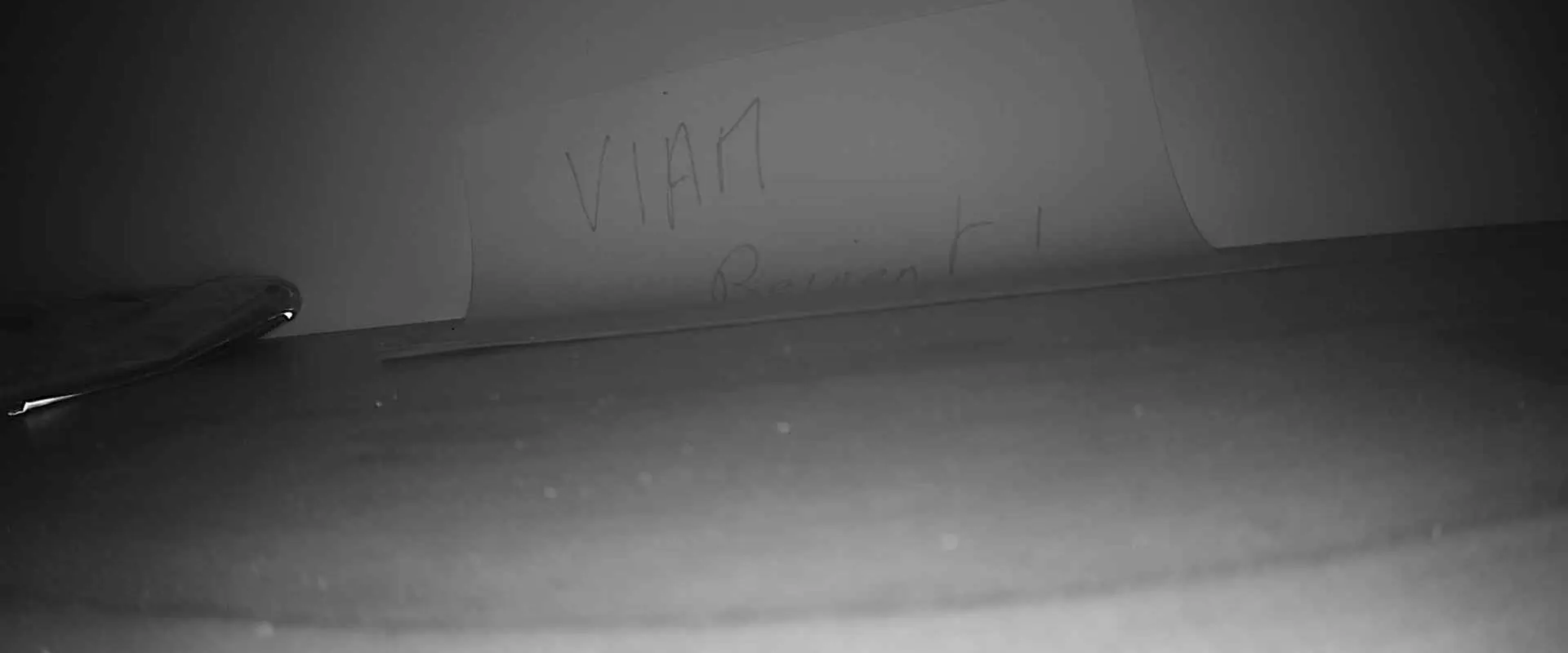 Webcam du lac de Viam