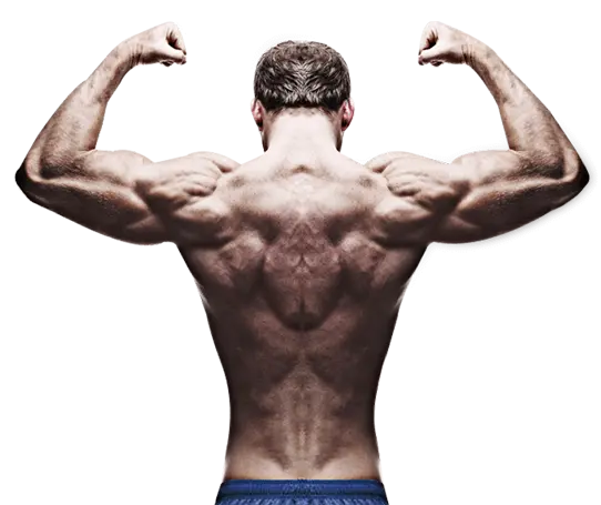 Bodysharp Studio Fitness Academy