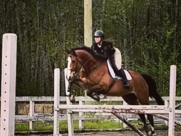 Platinum Equestrian