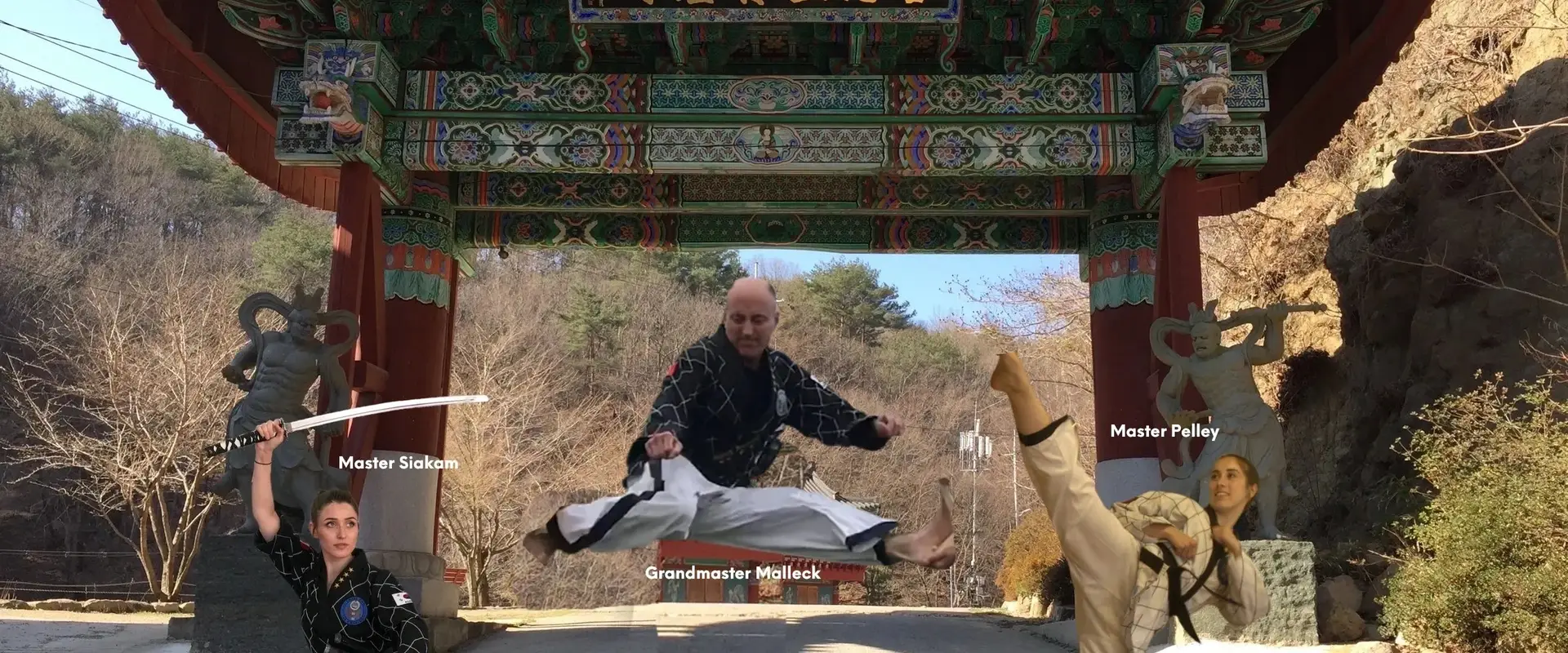 TKD Galt - Taekwondo
