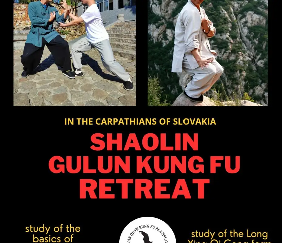 Chan quan kung fu