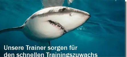 swimtech